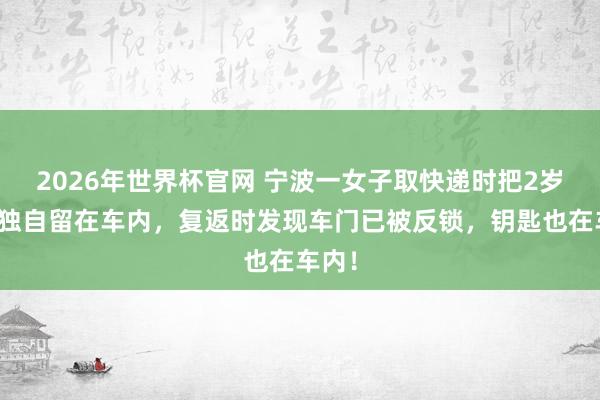 2026年世界杯官网 宁波一女子取快递时把2岁孩子独自留在车内，复返时发现车门已被反锁，钥匙也在车内！