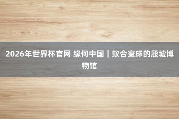 2026年世界杯官网 缘何中国｜蚁合寰球的殷墟博物馆
