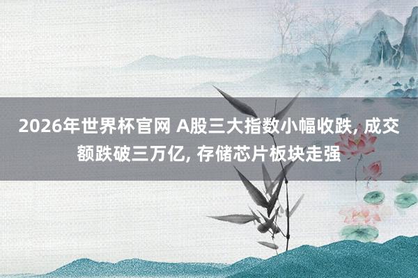 2026年世界杯官网 A股三大指数小幅收跌， 成交额跌破三万亿， 存储芯片板块走强
