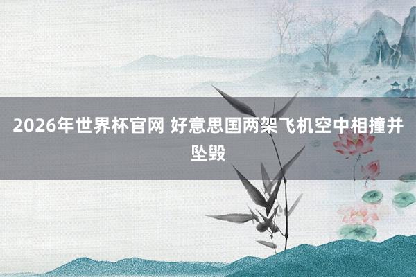 2026年世界杯官网 好意思国两架飞机空中相撞并坠毁