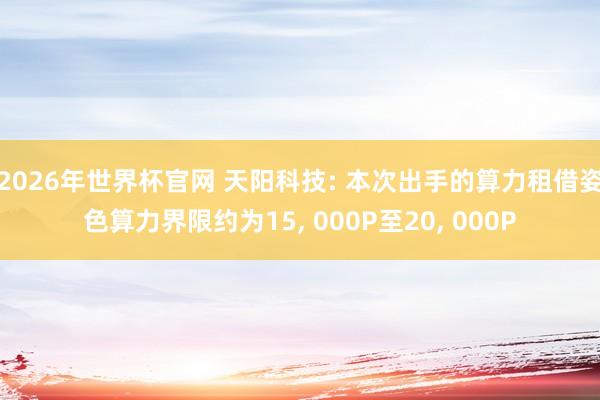 2026年世界杯官网 天阳科技: 本次出手的算力租借姿色算力界限约为15， 000P至20， 000P