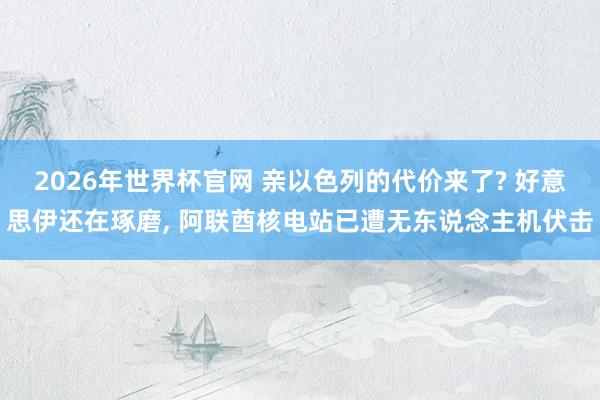 2026年世界杯官网 亲以色列的代价来了? 好意思伊还在琢磨， 阿联酋核电站已遭无东说念主机伏击