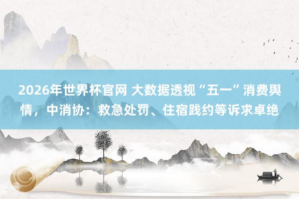 2026年世界杯官网 大数据透视“五一”消费舆情，中消协：救急处罚、住宿践约等诉求卓绝