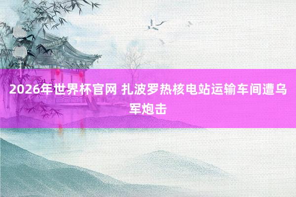 2026年世界杯官网 扎波罗热核电站运输车间遭乌军炮击