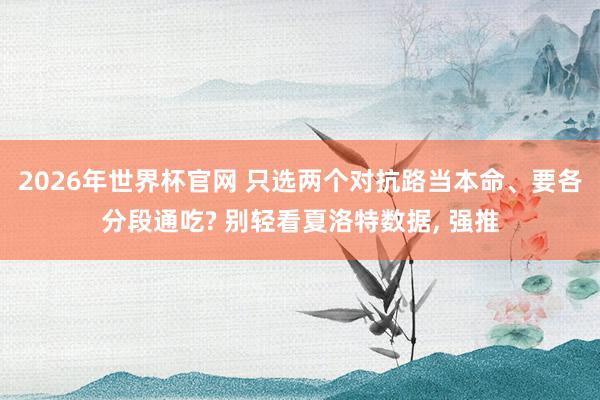 2026年世界杯官网 只选两个对抗路当本命、要各分段通吃? 别轻看夏洛特数据， 强推