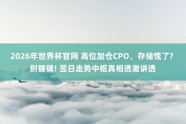 2026年世界杯官网 高位加仓CPO、存储慌了? 别瞎猜! 翌日走势中枢真相透澈讲透