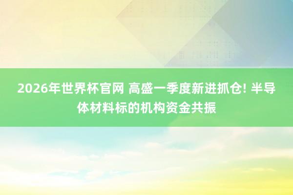 2026年世界杯官网 高盛一季度新进抓仓! 半导体材料标的机构资金共振