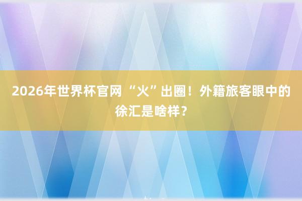 2026年世界杯官网 “火”出圈！外籍旅客眼中的徐汇是啥样？