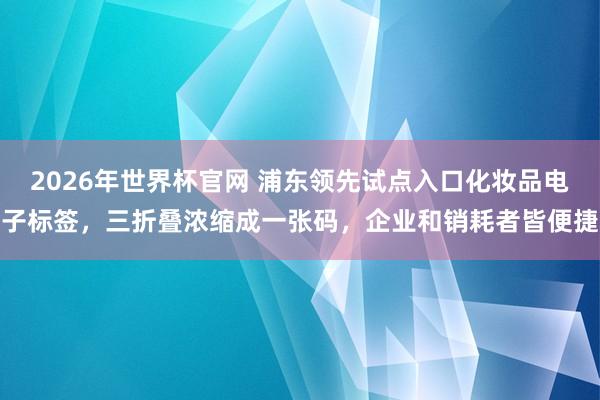2026年世界杯官网 浦东领先试点入口化妆品电子标签，三折叠浓缩成一张码，企业和销耗者皆便捷