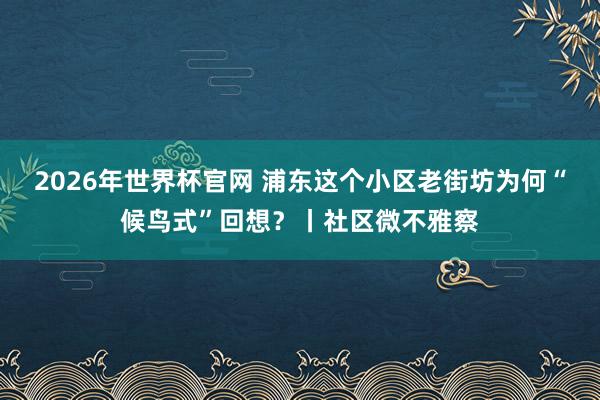 2026年世界杯官网 浦东这个小区老街坊为何“候鸟式”回想？丨社区微不雅察