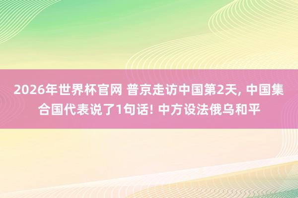 2026年世界杯官网 普京走访中国第2天， 中国集合国代表说了1句话! 中方设法俄乌和平