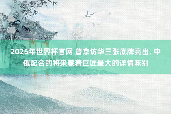 2026年世界杯官网 普京访华三张底牌亮出， 中俄配合的将来藏着巨匠最大的详情味别