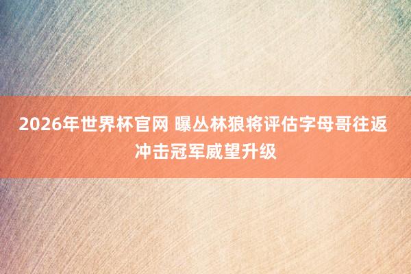 2026年世界杯官网 曝丛林狼将评估字母哥往返 冲击冠军威望升级