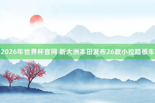 2026年世界杯官网 新大洲本田发布26款小拉踏板车