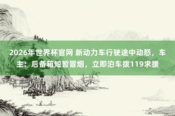 2026年世界杯官网 新动力车行驶途中动怒，车主：后备箱短暂冒烟，立即泊车拨119求援