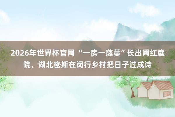 2026年世界杯官网 “一房一藤蔓”长出网红庭院，湖北密斯在闵行乡村把日子过成诗