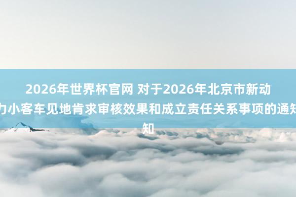2026年世界杯官网 对于2026年北京市新动力小客车见地肯求审核效果和成立责任关系事项的通知