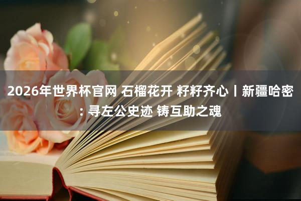 2026年世界杯官网 石榴花开 籽籽齐心丨新疆哈密: 寻左公史迹 铸互助之魂