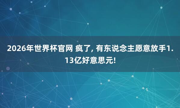 2026年世界杯官网 疯了， 有东说念主愿意放手1.13亿好意思元!