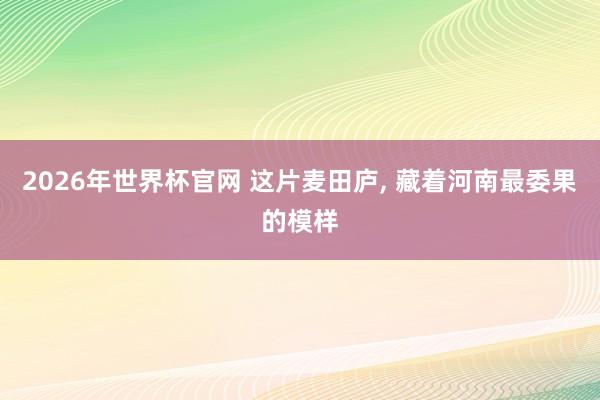 2026年世界杯官网 这片麦田庐， 藏着河南最委果的模样