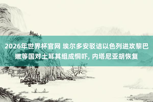 2026年世界杯官网 埃尔多安驳诘以色列进攻黎巴嫩等国对土耳其组成恫吓， 内塔尼亚胡恢复
