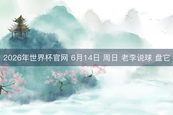 2026年世界杯官网 6月14日 周日 老李说球 盘它