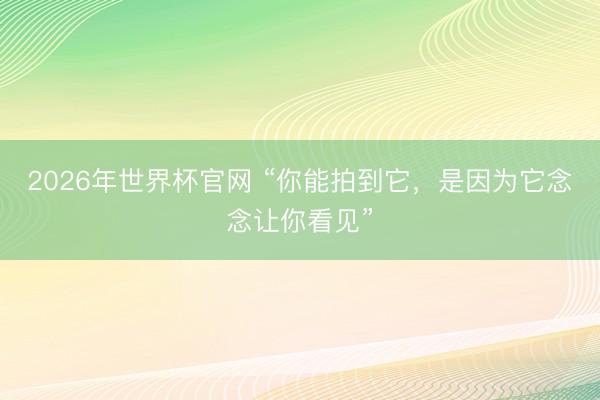 2026年世界杯官网 “你能拍到它，是因为它念念让你看见”