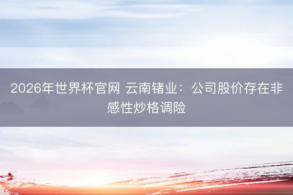 2026年世界杯官网 云南锗业：公司股价存在非感性炒格调险