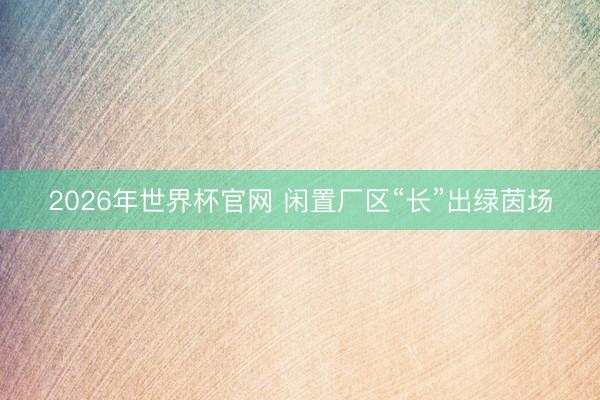 2026年世界杯官网 闲置厂区“长”出绿茵场