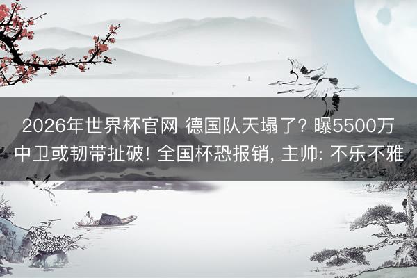 2026年世界杯官网 德国队天塌了? 曝5500万中卫或韧带扯破! 全国杯恐报销, 主帅: 不乐不雅